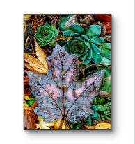 files/Autumn-Rain-Blue-Leaf-Canvas-Print-Authentic-Macro-Nature-Photography-Unstretched-Vertical-Wall-Art_9.jpg