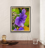 Autumn Rain Purple Hydrangea Macro Photography | Set of 2 Unframed Canvas Prints | Biophilic Wall Art
