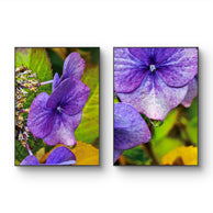 files/Autumn-Rain-Purple-Hydrangea-Macro-Photography-Set-of-2-Unframed-Canvas-Prints-Biophilic-Wall-Art_3.jpg