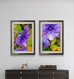 Autumn Rain Purple Hydrangea Macro Photography | Set of 2 Unframed Canvas Prints | Biophilic Wall Art