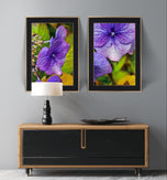 Autumn Rain Purple Hydrangea Macro Photography | Set of 2 Unframed Canvas Prints | Biophilic Wall Art