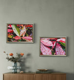 Autumn Rain Red Leaves Authentic Macro Photography | Unstretched Canvas Horizontal Print Set of 4 | Biophilic Wall Art Decor