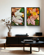 Autumn Rain Vibrant Leaves Authentic Macro Photography | Unstretched Canvas Print Set of 4 | Mixed Orientation Wall Art