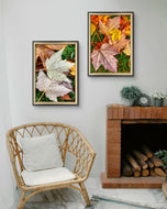 Autumn Rain Vibrant Leaves Authentic Macro Photography | Unstretched Canvas Print Set of 4 | Mixed Orientation Wall Art