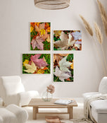 Autumn Rain Vibrant Leaves Authentic Macro Photography | Unstretched Canvas Print Set of 4 | Mixed Orientation Wall Art