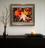 Autumn Rainy Leaves Authentic Macro Photography | Unstretched Canvas Horizontal Prints Set of 2 | Biophilic Nature Wall Art Décor