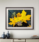 Autumn Rainy Vibrant Leaves Botanical Wall Art - Authentic Closeup Photography Unframed Canvas Prints Set of 4 - Biophilic Home & Office Decor