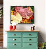 Autumn Vibrant Leaves Biophilic Wall Art Decor | Raindrops Nature Photography Prints Set of 4 on Unstretched Museum-Quality Canvas