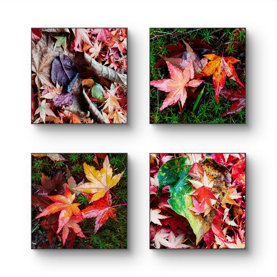 Autumn Vibrant Leaves Canvas Set of 4