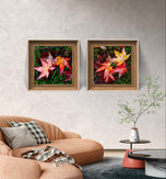Autumn Vibrant Leaves Canvas Set of 4 | Authentic Closeup Photography | Unframed Square Prints | Biophilic Wall Art Home & Office Décor