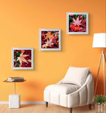 Autumn Vibrant Leaves Macro Photography Set of 3 | Unstretched Canvas Square Prints | Biophilic Wall Art Décor