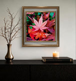 Autumn Vibrant Leaves Macro Photography Set of 3 | Unstretched Canvas Square Prints | Biophilic Wall Art Décor