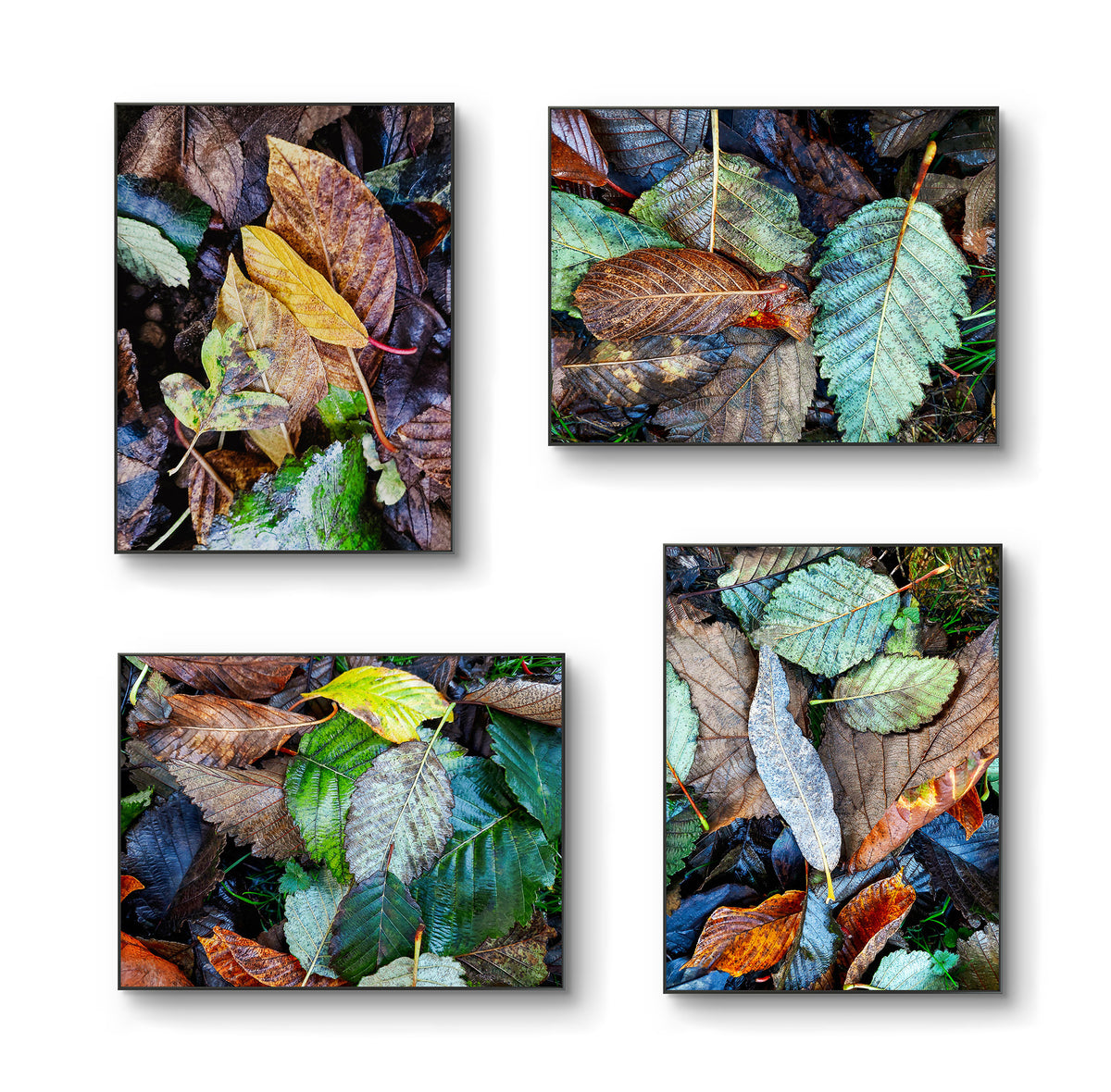 Autumn Vibrant Leaves Wall Art Set of 4