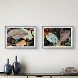 Autumn Vibrant Leaves Wall Art Set of 4 | Nature Closeup Original Photography | Unstretched Canvas Print | Biophilic Home & Office Decor