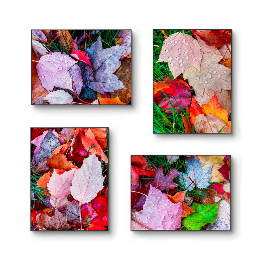 Autumn Vibrant Rain-Kissed Leaves Biophilic Wall Art Decor