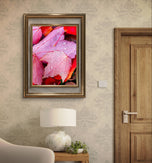 Autumn Vibrant Red Pink Rain-Kissed Leaves Biophilic Wall Art Decor | Authentic Macro Nature Photography | Unstretched Canvas Set of 4 Prints
