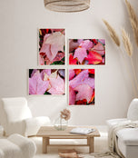 Autumn Vibrant Red Pink Rain-Kissed Leaves Biophilic Wall Art Decor | Authentic Macro Nature Photography | Unstretched Canvas Set of 4 Prints