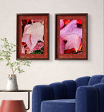 Autumn Vibrant Red Pink Rain-Kissed Leaves Biophilic Wall Art Decor | Authentic Macro Nature Photography | Unstretched Canvas Set of 4 Prints