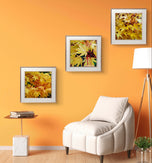 Autumn Yellow Maple Leaves  Authentic Macro Photography | Unstretched Canvas Square Print Set of 3 | Biophilic Wall Art Decor