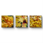 Autumn Yellow Maple Leaves  Authentic Macro Photography | Unstretched Canvas Square Print Set of 3 | Biophilic Wall Art Decor