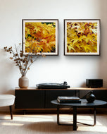 Autumn Yellow Maple Leaves  Authentic Macro Photography | Unstretched Canvas Square Print Set of 3 | Biophilic Wall Art Decor