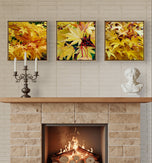 Autumn Yellow Maple Leaves  Authentic Macro Photography | Unstretched Canvas Square Print Set of 3 | Biophilic Wall Art Decor