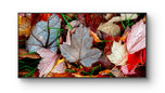 Autumn Colorful Leaves with Raindrops Authentic Macro Photography | Unframed Horizontal Canvas Print | Biophilic Wall Art Nature Décor