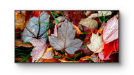 files/AutumnColorfulLeaveswithRaindrops-CanvasPrint-AuthenticMacroPhotography-BiophilicWallArt-UnframedHorizontalPrint.jpg