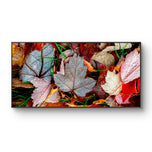 Autumn Colorful Leaves with Raindrops Authentic Macro Photography Print | Unframed Horizontal Canvas Wall Art | Biophilic Nature Décor