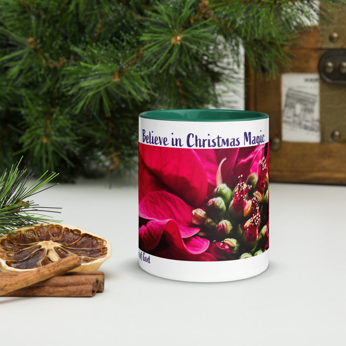 ‘Believe in Christmas Magic’ Mug with Red Poinsettia Photography by Martha Solo
