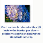 Summer Brilliance — Blue Hydrangea in Sunset Macro Photography | Unframed Horizontal Canvas Wall Art Set of 2 for Living Room