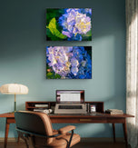 Summer Brilliance — Blue Hydrangea in Sunset Macro Photography | Unframed Horizontal Canvas Wall Art Set of 2 for Living Room