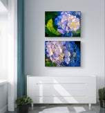 Summer Brilliance — Blue Hydrangea in Sunset Macro Photography | Unframed Horizontal Canvas Wall Art Set of 2 for Living Room