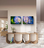 Summer Brilliance — Blue Hydrangea in Sunset Macro Photography | Unframed Horizontal Canvas Wall Art Set of 2 for Living Room