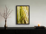 Kissed by Rain — Japanese Sedge Grass with Raindrops | Botanical Canvas Wall Art | Vertical Macro Photography Print | Biophilic Nature Decor