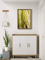 Kissed by Rain — Japanese Sedge Grass with Raindrops | Botanical Canvas Wall Art | Vertical Macro Photography Print | Biophilic Nature Decor