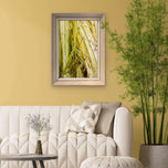 Kissed by Rain — Japanese Sedge Grass with Raindrops | Botanical Canvas Wall Art | Vertical Macro Photography Print | Biophilic Nature Decor