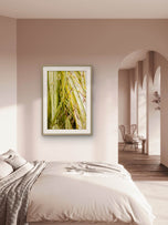 Kissed by Rain — Japanese Sedge Grass with Raindrops | Botanical Canvas Wall Art | Vertical Macro Photography Print | Biophilic Nature Decor