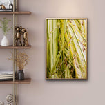 Kissed by Rain — Japanese Sedge Grass with Raindrops | Botanical Canvas Wall Art | Vertical Macro Photography Print | Biophilic Nature Decor