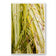 Kissed by Rain — Japanese Sedge Grass with Raindrops | Botanical Canvas Wall Art | Vertical Macro Photography Print | Biophilic Nature Decor