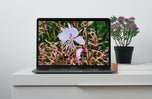 Digital 4 Prints 4x3 & 16x9 Ratios | White Summer Flowers Authentic Macro Photography | Instant Download for Home Wall Art Décor & Multi-Device Wallpapers