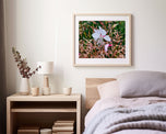 Digital 4 Prints 4x3 & 16x9 Ratios | White Summer Flowers Authentic Macro Photography | Instant Download for Home Wall Art Décor & Multi-Device Wallpapers