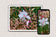 Digital 4 Prints 4x3 & 16x9 Ratios | White Summer Flowers Authentic Macro Photography | Instant Download for Home Wall Art Décor & Multi-Device Wallpapers