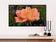 Digital 4 Prints 4x3 & 16x9 Ratios | Pink & Orange Roses with Raindrops Authentic Macro Photography | Instant Download for Home Wall Art Decor & Multi-Device Wallpapers