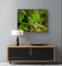 Digital 4 Prints 4x3 & 16x9 Ratios | Wetland Grass with Raindrops Authentic Macro Photography | Instant Download for Home Wall Art Decor & Multi-Device Wallpapers