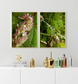 Digital 4 Prints 4x3 & 16x9 Ratios | Wetland Grass with Raindrops Authentic Macro Photography | Instant Download for Home Wall Art Decor & Multi-Device Wallpapers