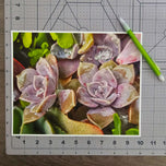 Kissed by Rain — Echeveria Succulent Macro Photography | Unframed Canvas Print Set of 2 | Biophilic Wall Art