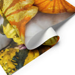 Fall Harvest Gourds Wrapping Paper | Authentic Nature Photography Gift Wrap | 3 Large Sheets | Autumn Thanksgiving Gift Wrap