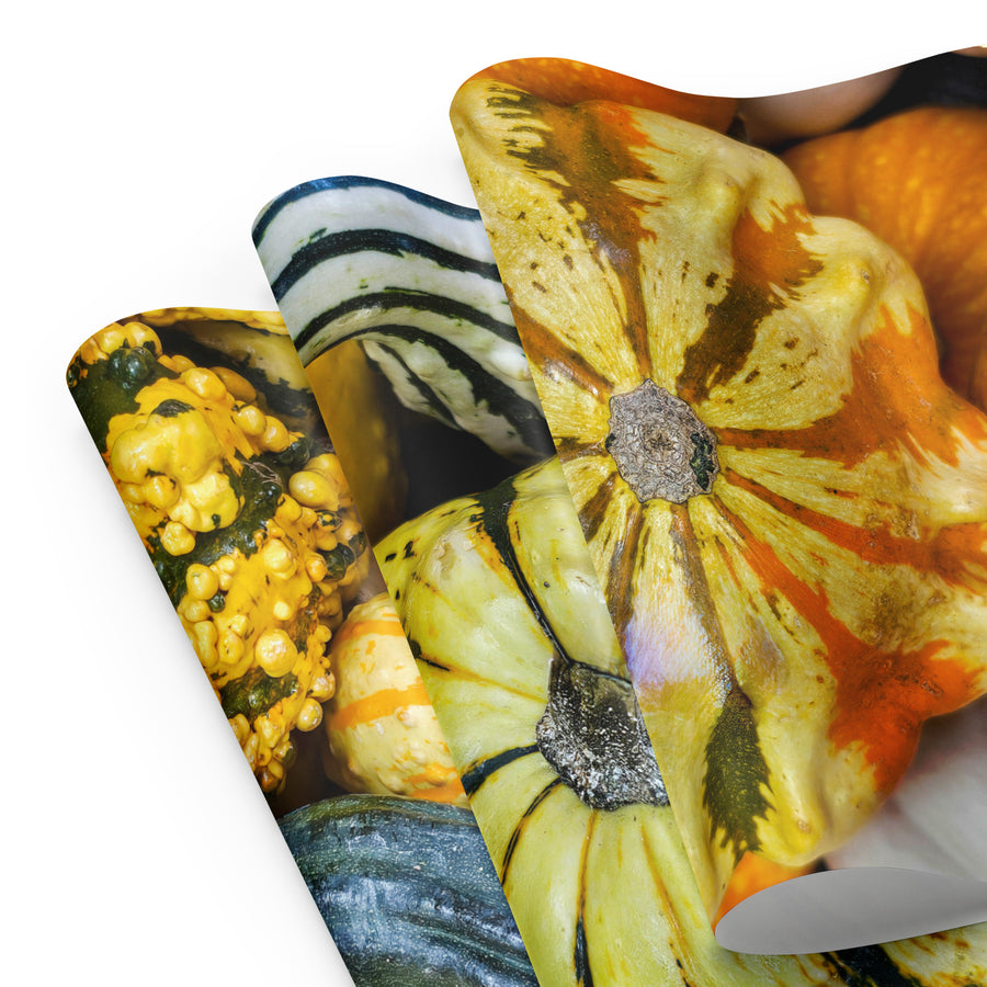 Fall Harvest Gourds Wrapping Paper