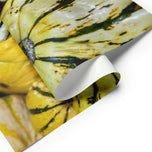 Fall Harvest Gourds Wrapping Paper | Authentic Nature Photography Gift Wrap | 3 Large Sheets | Autumn Thanksgiving Gift Wrap